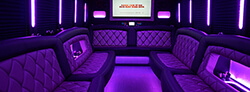 30-passenger party buses